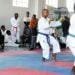 Nigeria Karatekas to showcase talents in championship – Dimkpa