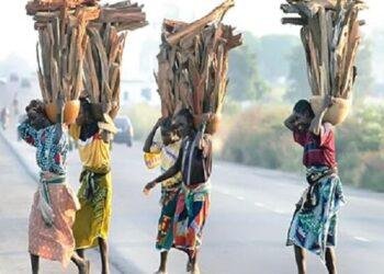 CSOs seek constitutional amendment to promote Abuja original inhabitants