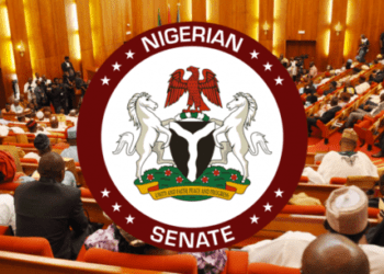 Constitution Review: Senate Lays Voting Process