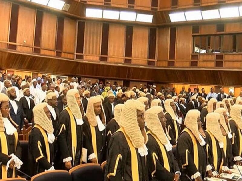Adamawa JSC sacks 11, demotes judge, 20 others over fake certificates