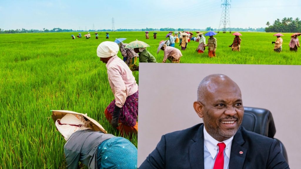 Agriculture remains highest employer of labour in Africa, says Elumelu