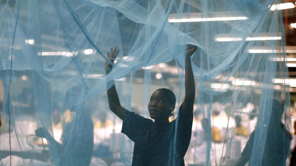 mosquito nets
