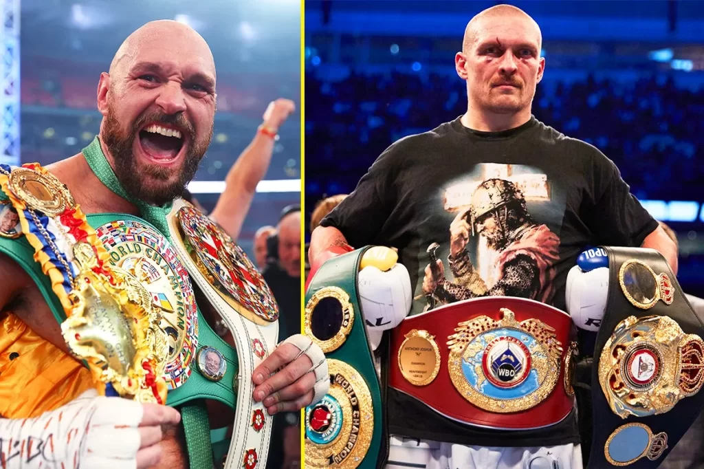 potential Usyk-Fury fight