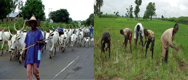 Group seeks end to herders/farmers crisis in Taraba