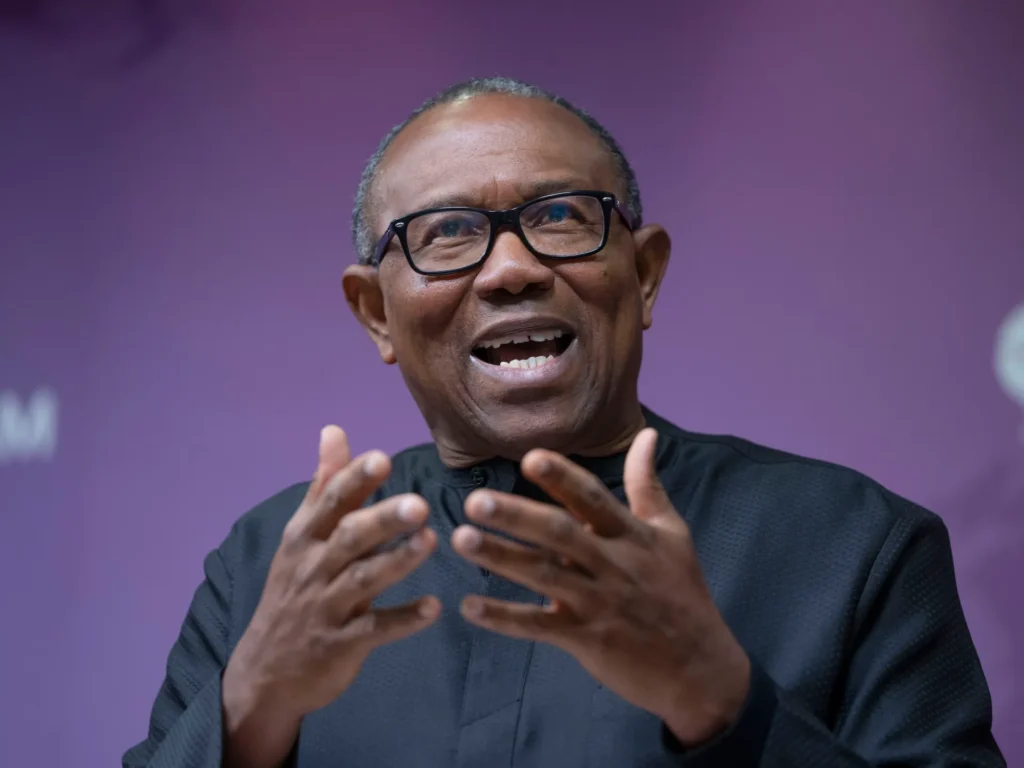 Peter Obi's 2023 Presidency driven by vision, new Nigeria- Ohanaeze
