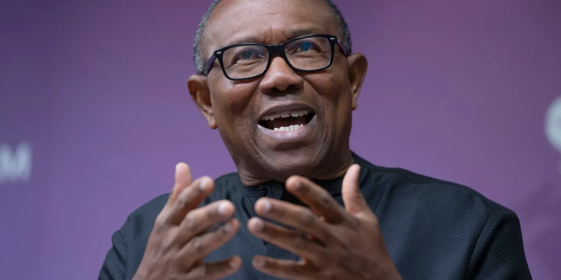 Peter Obi's 2023 Presidency driven by vision, new Nigeria- Ohanaeze