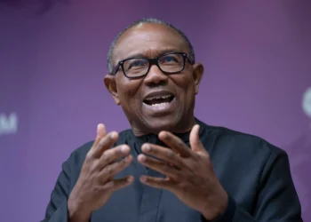Peter Obi's 2023 Presidency driven by vision, new Nigeria- Ohanaeze