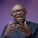 Peter Obi's 2023 Presidency driven by vision, new Nigeria- Ohanaeze