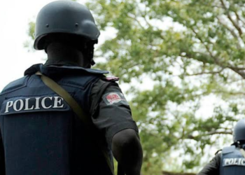 Police Arrest 18 over alleged Killing of DPO, Inspector in Imo