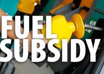 Fuel Subsidy Removal: Nigerians adopt unwholesome alternative survival strategies