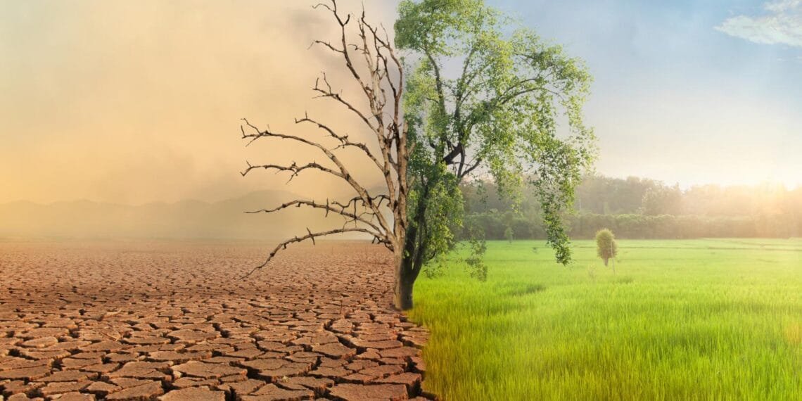 Tackling Africa’s climate crisis