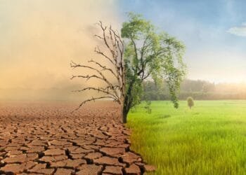 Tackling Africa’s climate crisis