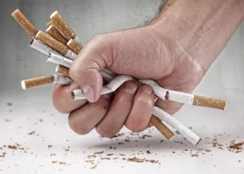 COP10/MOP3: WHO, NATT seek end to tobacco-related diseases, deaths