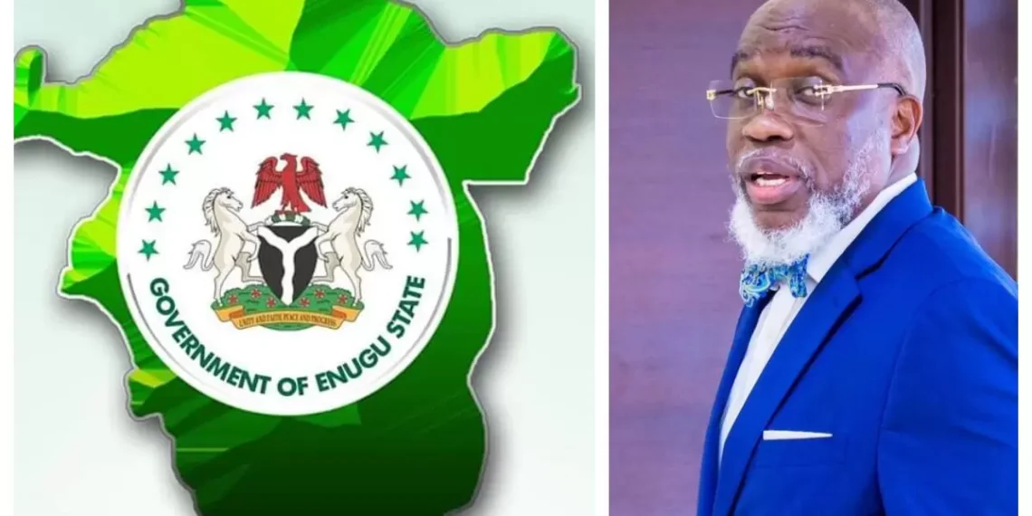 50% of Enugu Pupils can't read, solve simple mathematics — SSG