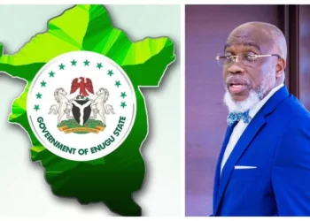 50% of Enugu Pupils can't read, solve simple mathematics — SSG