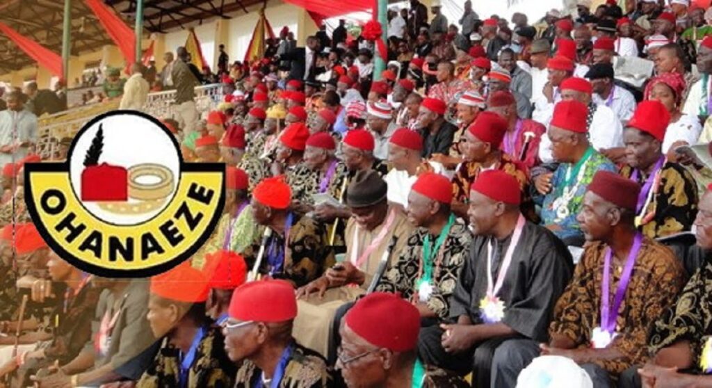 Economic Hardship: Ohanaeze hails south-East for shunning protest against FG