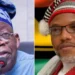 Drop treason, terrorism charges against Nnamdi Kanu, Ohanaeze to Tinubu
