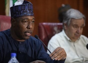 UN representative reaffirms support for Borno State's recovery efforts