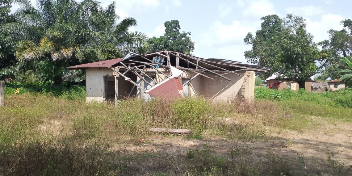 Taraba PHCs overrun by weeds, reptiles, as residents seek intervention