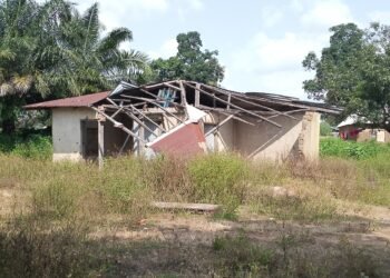Taraba PHCs overrun by weeds, reptiles, as residents seek intervention