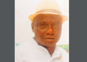 Expert urges Senator Joel-Onowakpo, others to lift Isoko out of darkness