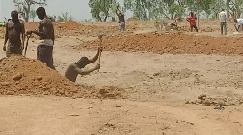 College of Agriculture