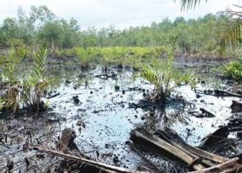 Groups task Presidency on urgent action to avert environmental genocide in Niger Delta