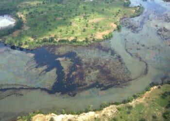 Environmental activists