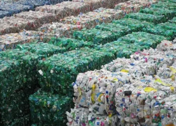 Waste To Wealth: The Rise Of Nigeria’s Recycling Economy