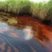 oil spills