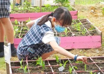 The Importance of School Farms