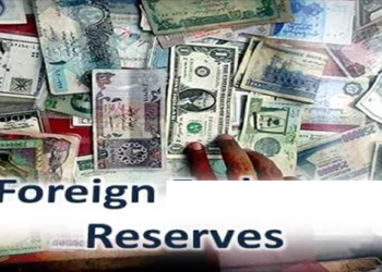 foreign reserves