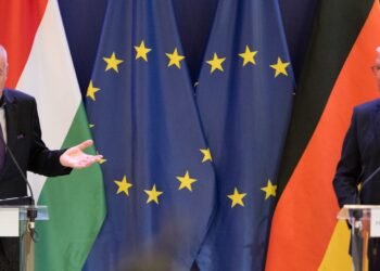 Steinmeier commends Hungary for its contribution to German unity