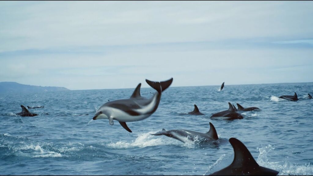 German varsity alerts to unprecedented warming of the western Pacific Ocean