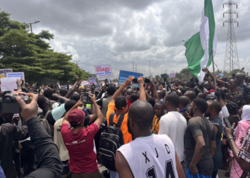 Council of State labels protest as attempted regime change, commends Tinubu's leadership