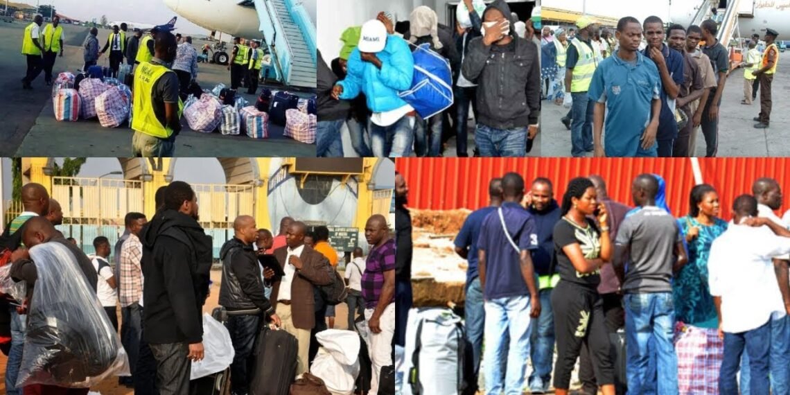 400 Nigerians deported from UAE arrive in Abuja amid ongoing diplomatic tensions