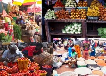 Nigerian youths sound alarm on unhealthy foods jeopardizing their future