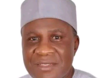 Why Tinubu scrapped Niger Delta Ministry, former Minister Abubakar Momoh explains