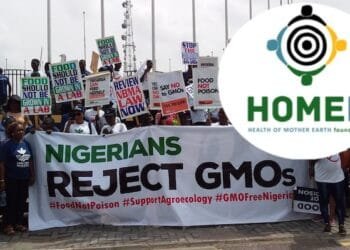 Stop introducing GMOs into Nigeria’s food systems, HOMEF tells FG