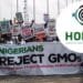 Stop introducing GMOs into Nigeria’s food systems, HOMEF tells FG