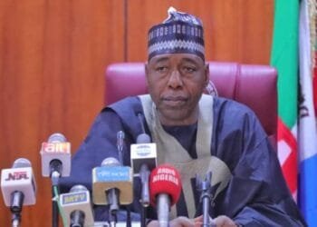 Zulum to Cabinet: Reduce reliance on federal allocations, boost livestock exports