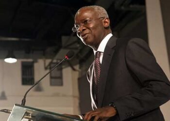 Fashola urges youth to stay in Nigeria, amid economic hardships