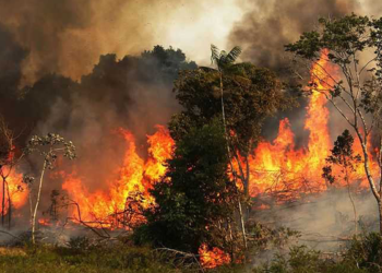 Ekiti LG boss warns residents against bush burning