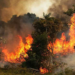 Ekiti LG boss warns residents against bush burning