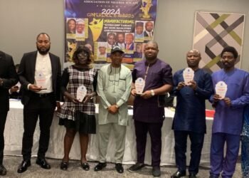 Nigeria can earn more revenues from solid minerals mining than crude oil, says MAN