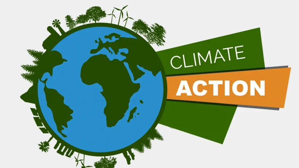 African environmentalists canvass decisive climate action as COP29 approaches