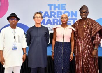 Private sector leaders seek sustainable development in Africa through carbon market