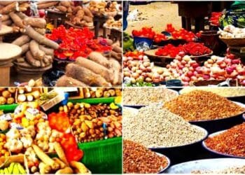 Why prices of food 'll keep rising - PFAN