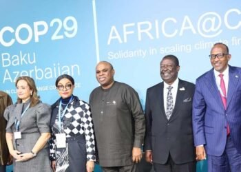 COP29: Nigeria, Africa CSOs back G77, China’s call for climate finance, tech transfer