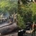 Nigerian Army dismantles 34 illegal Refineries, seizes over 80,000 liters of stolen Oil in Niger Delta crackdown